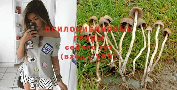 трава Богданович