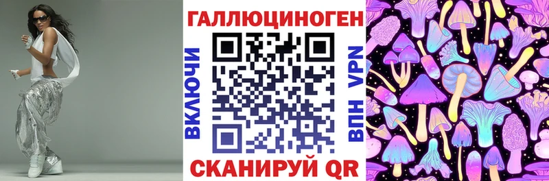 Псилоцибиновые грибы Cubensis Саяногорск